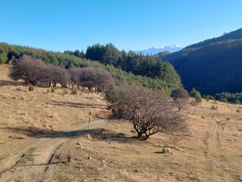 Scenic view of landscape against clear sky