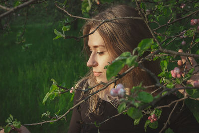 Close up woman touching tenderly cherry blossom branch portrait picture