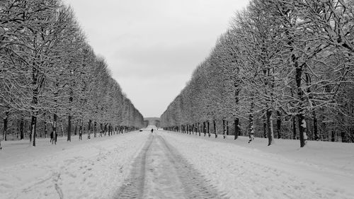 Snow covered trees against sky