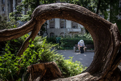 Rear view of men on tree trunk