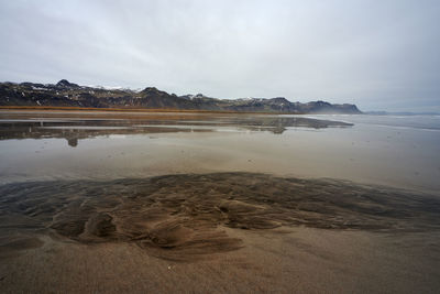 Seaweed in calm sea water near mountains