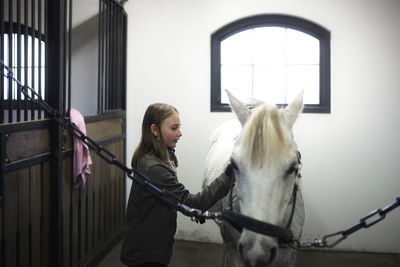Girl grooming horse before riding in stable