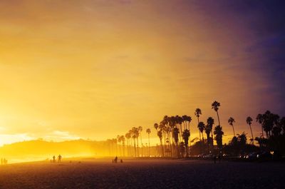 Silhouette palm trees on beach against sky during sunset