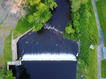 High angle view of water flowing through plants