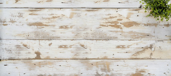 Full frame shot of weathered wooden wall