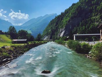 Scenic view of river amidst trees against sky