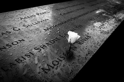 High angle view of text on wet cemetery