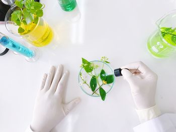 High angle view of hand holding glass bottle on table