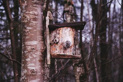 Birdhouse on tree at forest