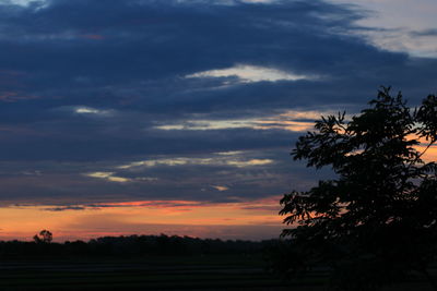 Silhouette trees against dramatic sky during sunset