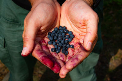 Midsection of man holding berries