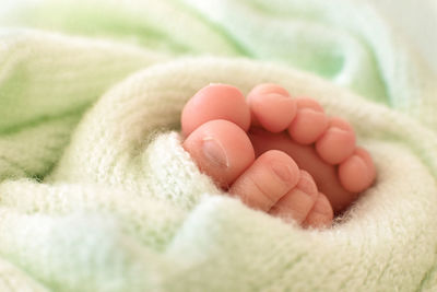 Feet of a newborn baby with a leaf of a fern plant on a green background. close-up