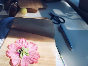 High angle view of pink flower on table