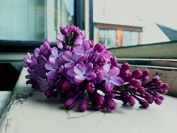 Close-up of pink flowers on window