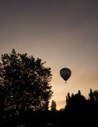 Hot air balloons flying against sky