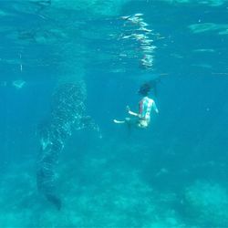 Man swimming in sea