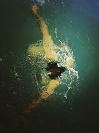 High angle view of person swimming in water