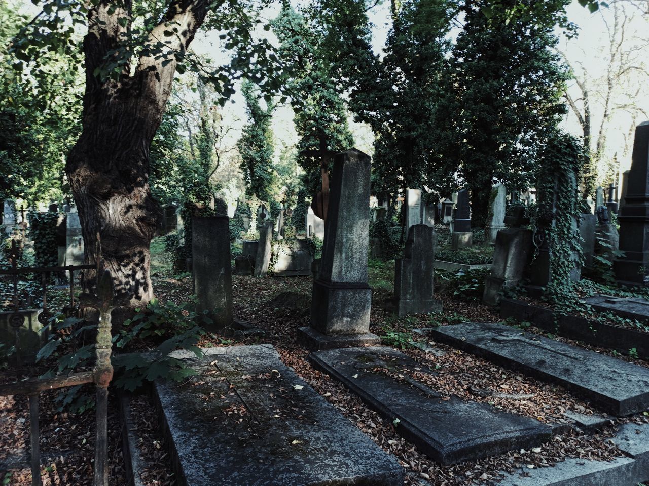 VIEW OF CEMETERY