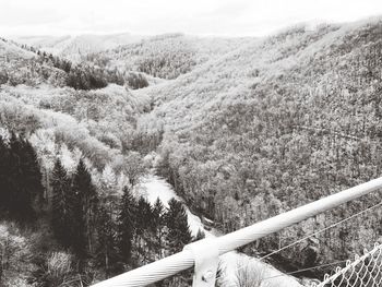 Scenic view of forest against sky