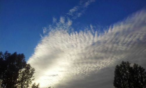 Low angle view of vapor trail in sky