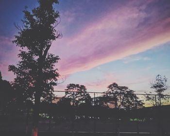 Silhouette trees against sky at sunset