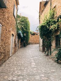 Narrow alley amidst buildings in town