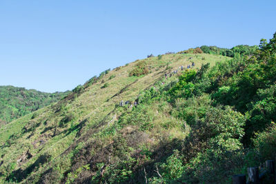 Scenic view of mountains against clear sky