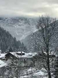 Bare trees and buildings against sky during winter