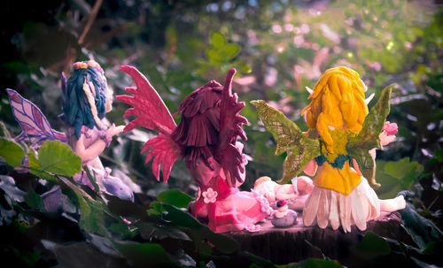 Close-up of red flowers