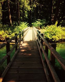Footbridge amidst trees in forest