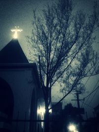 Low angle view of bare trees against sky at night