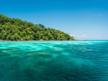 View of mu koh surin island clear turquoise sea, coral reef and blue sky, snorkeling, thailand.