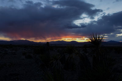 Scenic view of landscape against sky during sunset