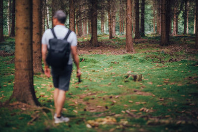 Rear view of man walking in forest