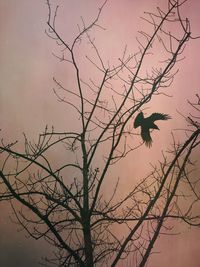 Low angle view of bare trees against sky