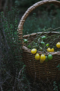 Close-up of fruits in basket on field