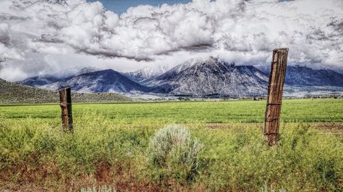 Scenic view of grassy field against cloudy sky