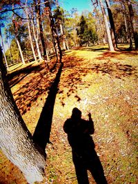 Shadow of people on tree trunk
