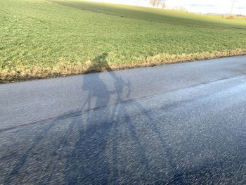 Scenic view of agricultural field