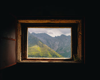 Trees seen through window