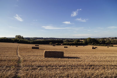 Hay bales on field against sky