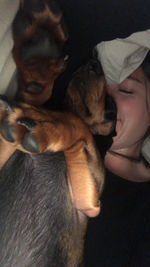 Midsection of man with dog at home