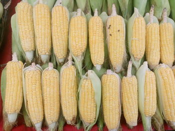 Directly above shot of corns for sale at market