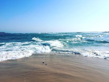 Scenic view of sea against clear sky