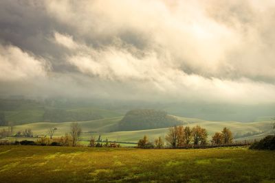 Scenic view of field against sky