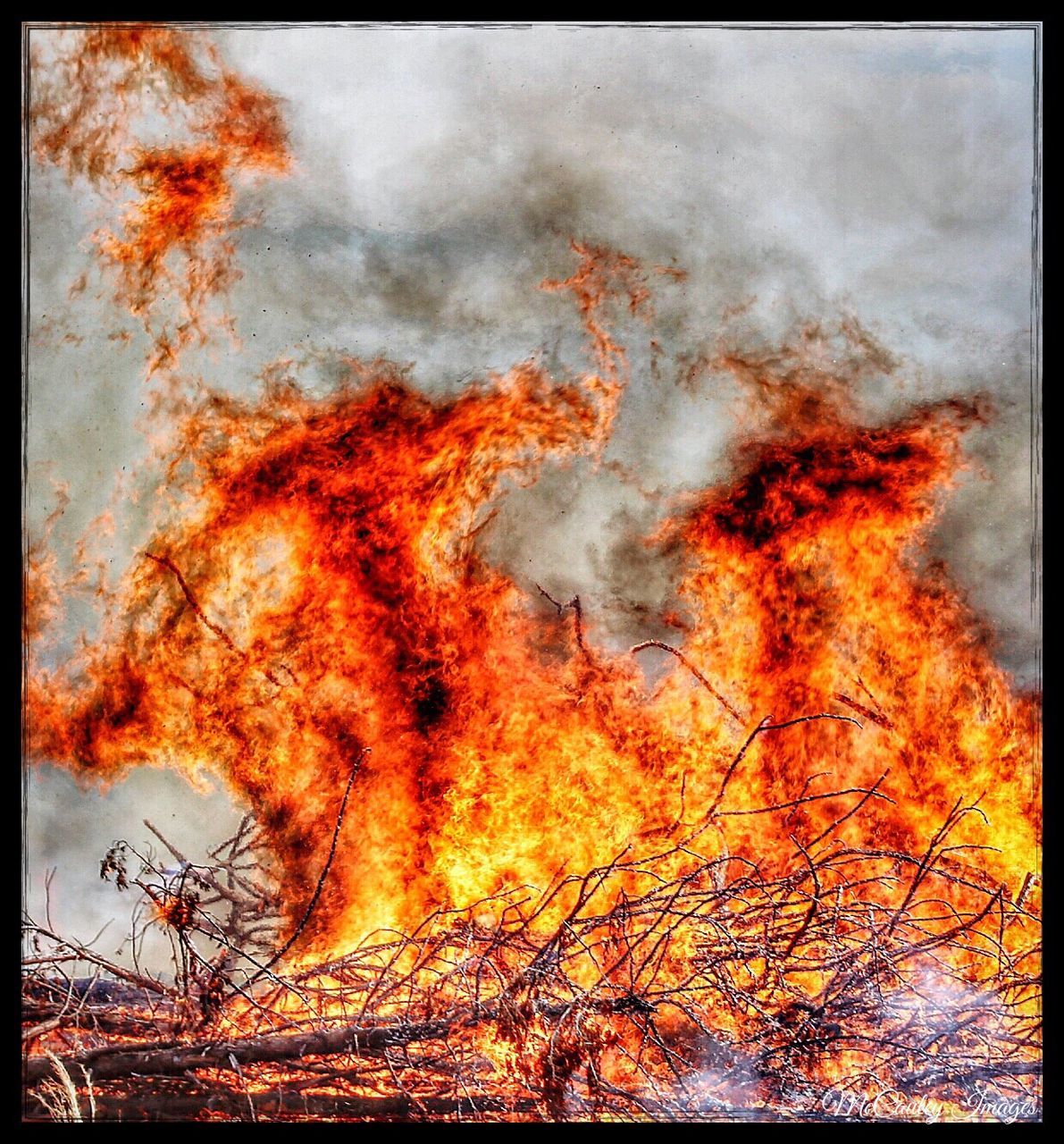 burning, flame, destruction, tree, danger, accidents and disasters, no people, outdoors, sky, nature, global warming, day