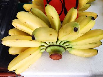 Close-up of fruits