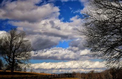 Low angle view of bare trees against cloudy sky