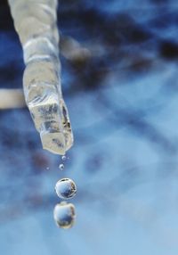 Close-up of water drop