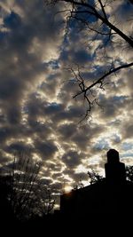 Low angle view of silhouette bare tree and buildings against sky